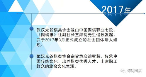以圍棋的名義服務(wù)于國家級自貿(mào)區(qū) 王海鈞七段與武漢光谷棋類協(xié)會的2017項目策劃與公關(guān)服務(wù)