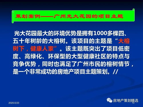 房地產(chǎn)項目主題策劃與公關(guān)服務(wù)整合方案