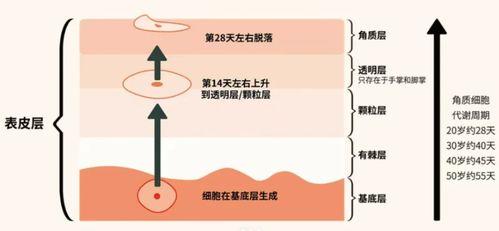2024祛斑段位榜 寶藏級產(chǎn)品親測，還你干凈無瑕肌膚
